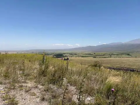Terreno en Venta en Tupungato, USD 140.000