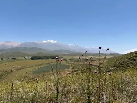 LOTE EN VENTA – LAS CARRERAS, TUPUNGATO
