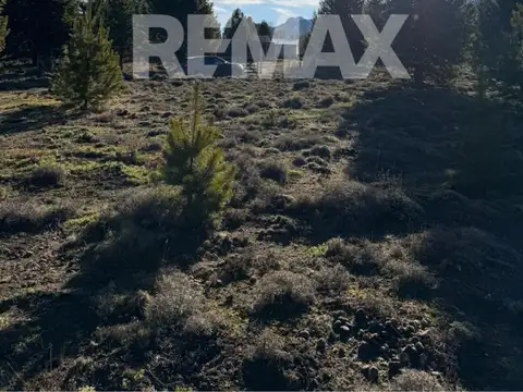 LOTE TERRENO MELIQUINA 1.000 M2