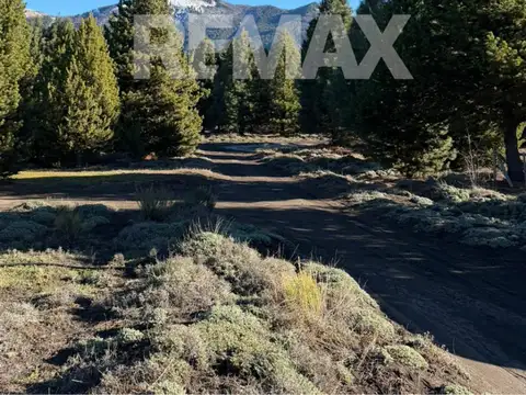 16 A
