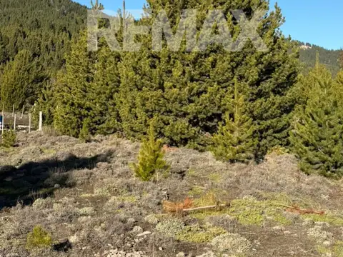 Terreno en Venta en Meliquina, USD 30.000