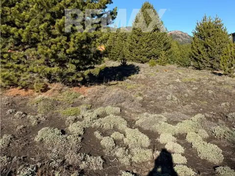Terreno en Venta de 1000,0 m2