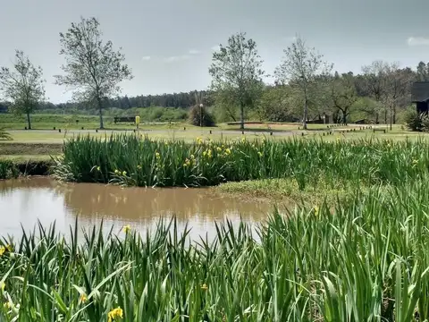 Terreno en Campo Timbó
