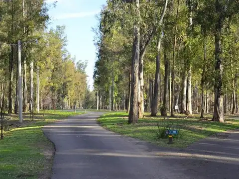 Ruta 11 km. 354 Oliveros