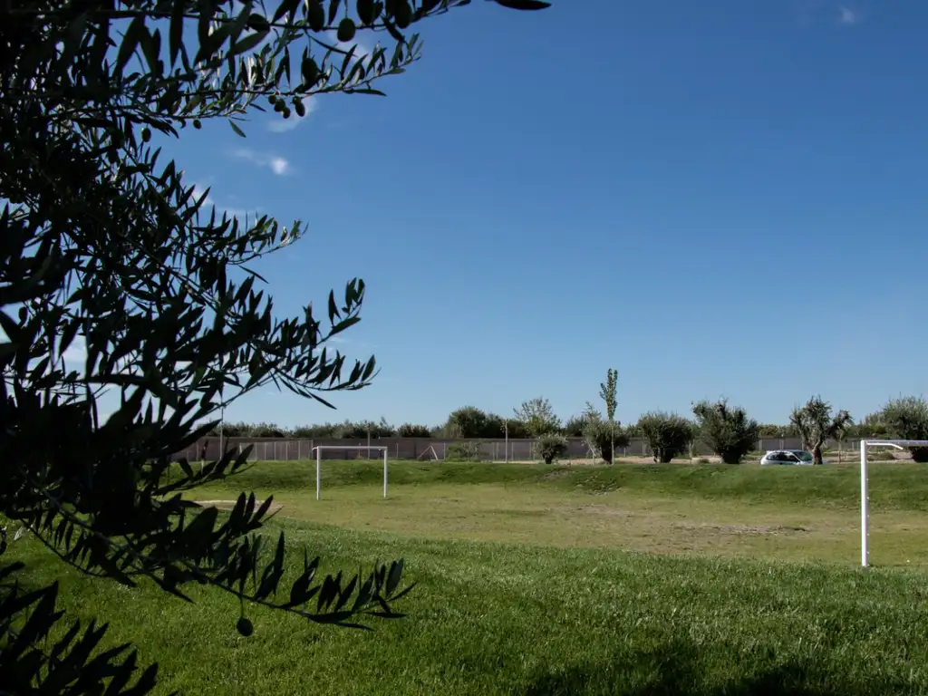 Actividades deportivas futbol en Terrazas Park