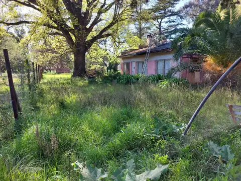 Los Sabinos