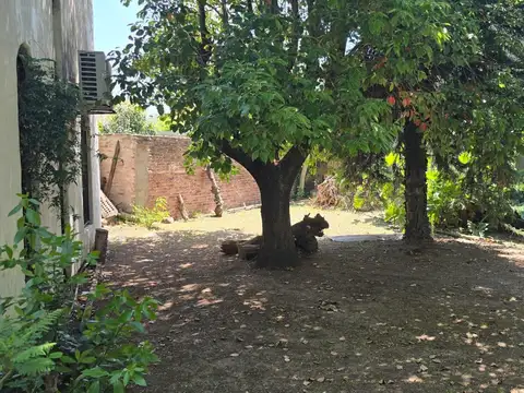 Terreno en Venta en Adrogue, USD 126.900