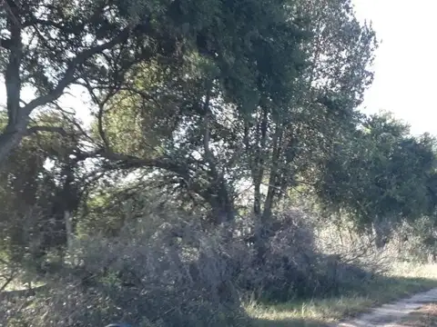 Terreno en Venta en General Rodriguez, USD 48.000