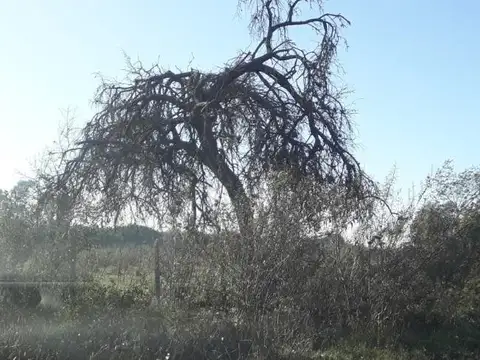 Terreno en Venta en General Rodriguez, USD 48.000