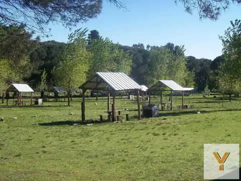 Oficina en Venta en Mar del Plata, Partido de General Pueyrredón