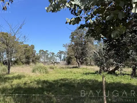 Venta - Terreno para Emprendimiento en Pilar  - Zonificación CR1