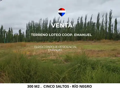 VENTA TERRENO 300M2 BARRIO EMANUEL /CINCO SALTOS