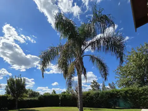 Casa en Alquiler al Noroeste