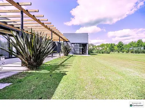 LOTE 12