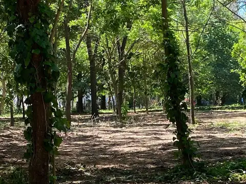 Lotes en  venta en Loma Verde