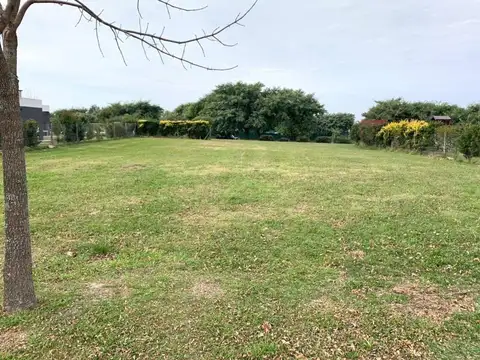 San Matias Area 4 al 700
