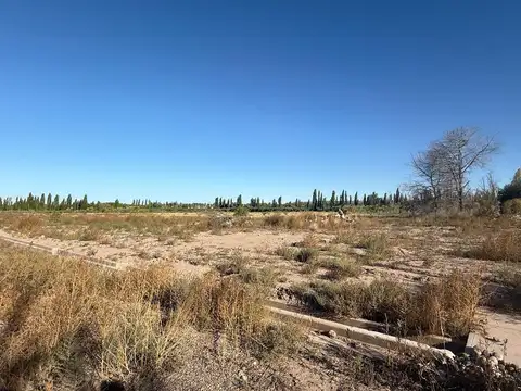 Vieytes S/N  PLAN 33 COOP AYE