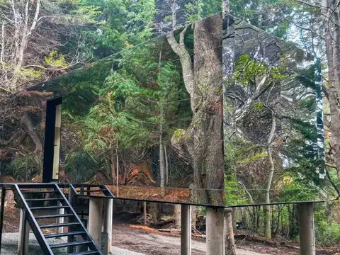 Mirror houses treehouse planta alta