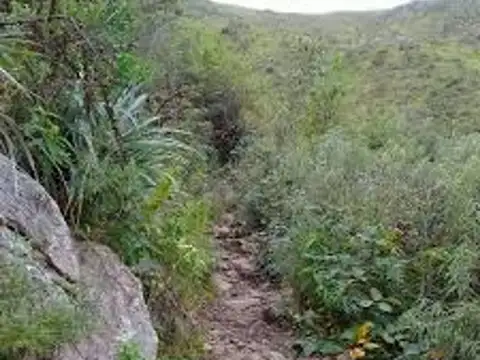 CALLE PUBLICA