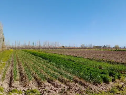 VENTA-FINCA-TULUMAYA-LAVALLE