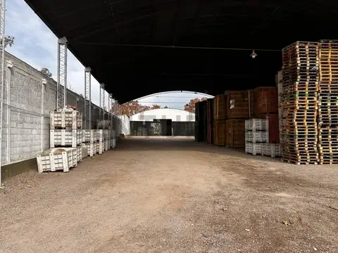 Galpon en Alquiler A Estrenar