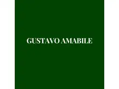Gustavo Amabile Propiedades
