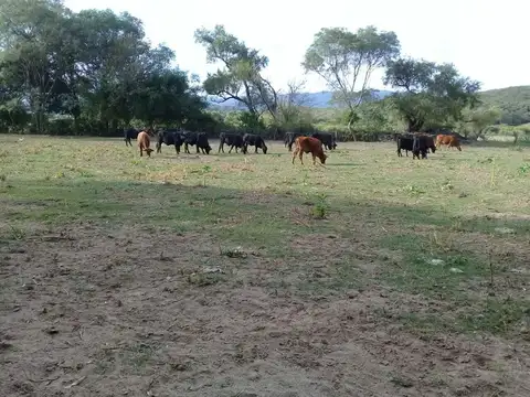 Terreno en Venta de 500000,0 m2