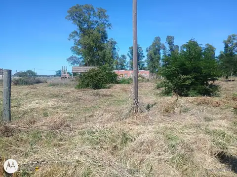 Terreno en Venta de 1568,0 m2