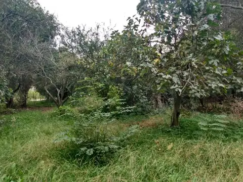 Terreno en Venta 20  mts Frente