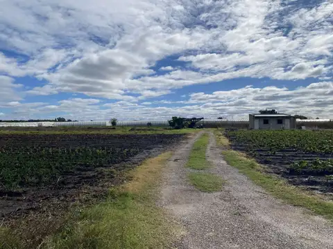 CAMPO EN VENTA LA PLATA, ARANA . 