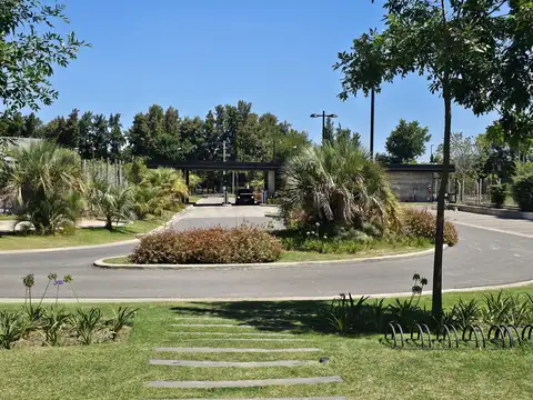 Terreno en Venta 40  mts Frente