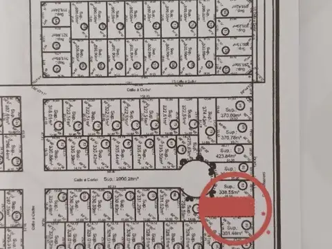 Terreno en Venta 25  mts Fondo