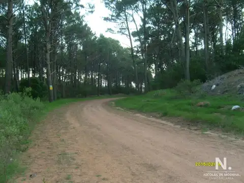Terreno en Venta en Punta Ballena, USD 70.000