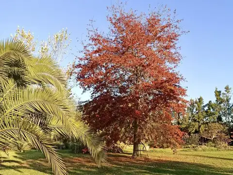 Venta Terreno Gonnet. Gorina. Barrio cerrado