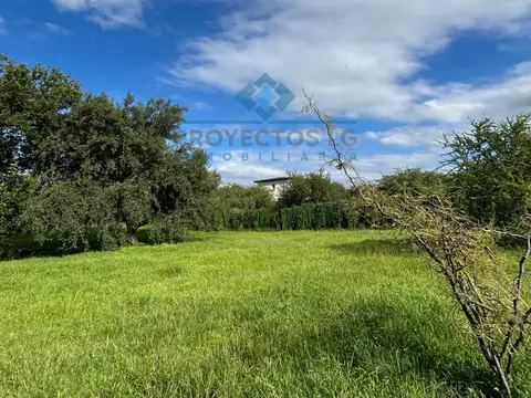 Terreno en Venta en Sinsacate, USD 90.000