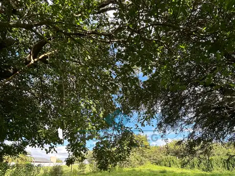 VENTA-OPORTUNIDAD ÚNICA EN SINSACATE - LOTE PREMIUM