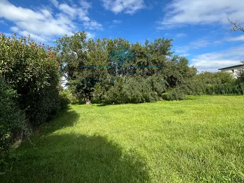 VENTA-OPORTUNIDAD ÚNICA EN SINSACATE - LOTE PREMIUM