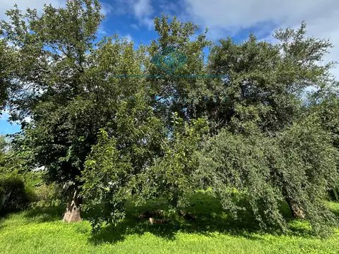 Terreno en Venta de 1250,0 m2