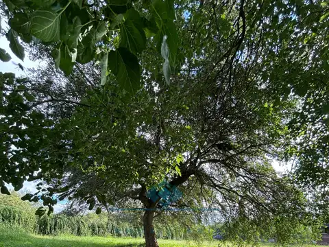 Terreno en Venta en Sinsacate, USD 90.000