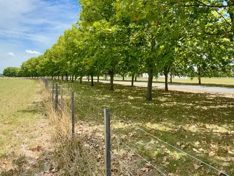 Terreno en Venta de 11157,0 m2