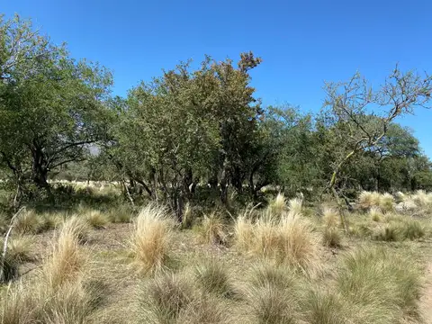 Vitullo vende fracción de 1 Ha. en San Javier, en barrio residencial