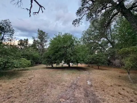 Terreno en Venta de 3750,0 m2