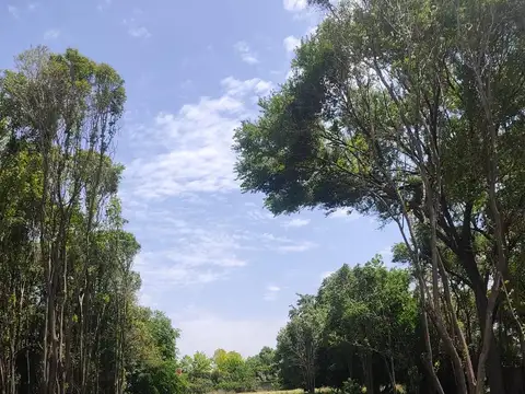 Terreno en Venta en Pablo Nogues, USD 66.000