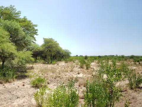 Campo en Venta Mixto