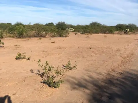 Campo en Venta Mixto