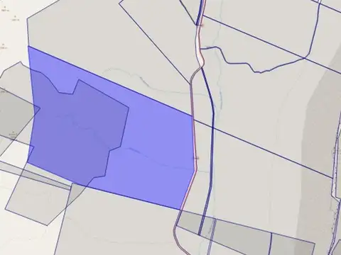 Campo 8650has sobre ruta 40 talacasto ullum