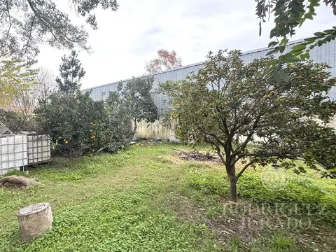 Almirante Brown 1000