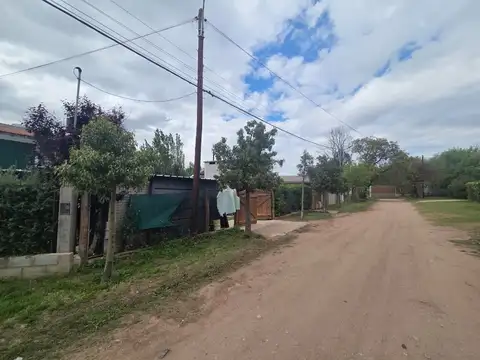 LOS JILGUEROS 500