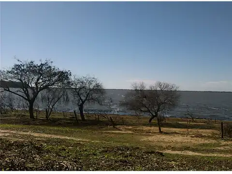 Los Naranjos 1000