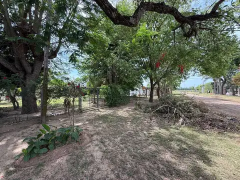 Los Naranjos 1000